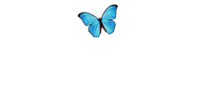 ACEER Logo